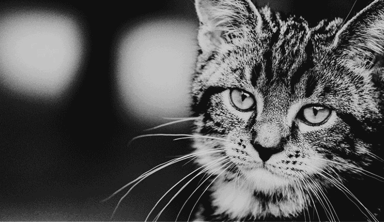 youngmencn的个人主页（封面预览） - 主页封面设置 - 站酷设计师youngmencn原创素材 - 站酷ZCOOL