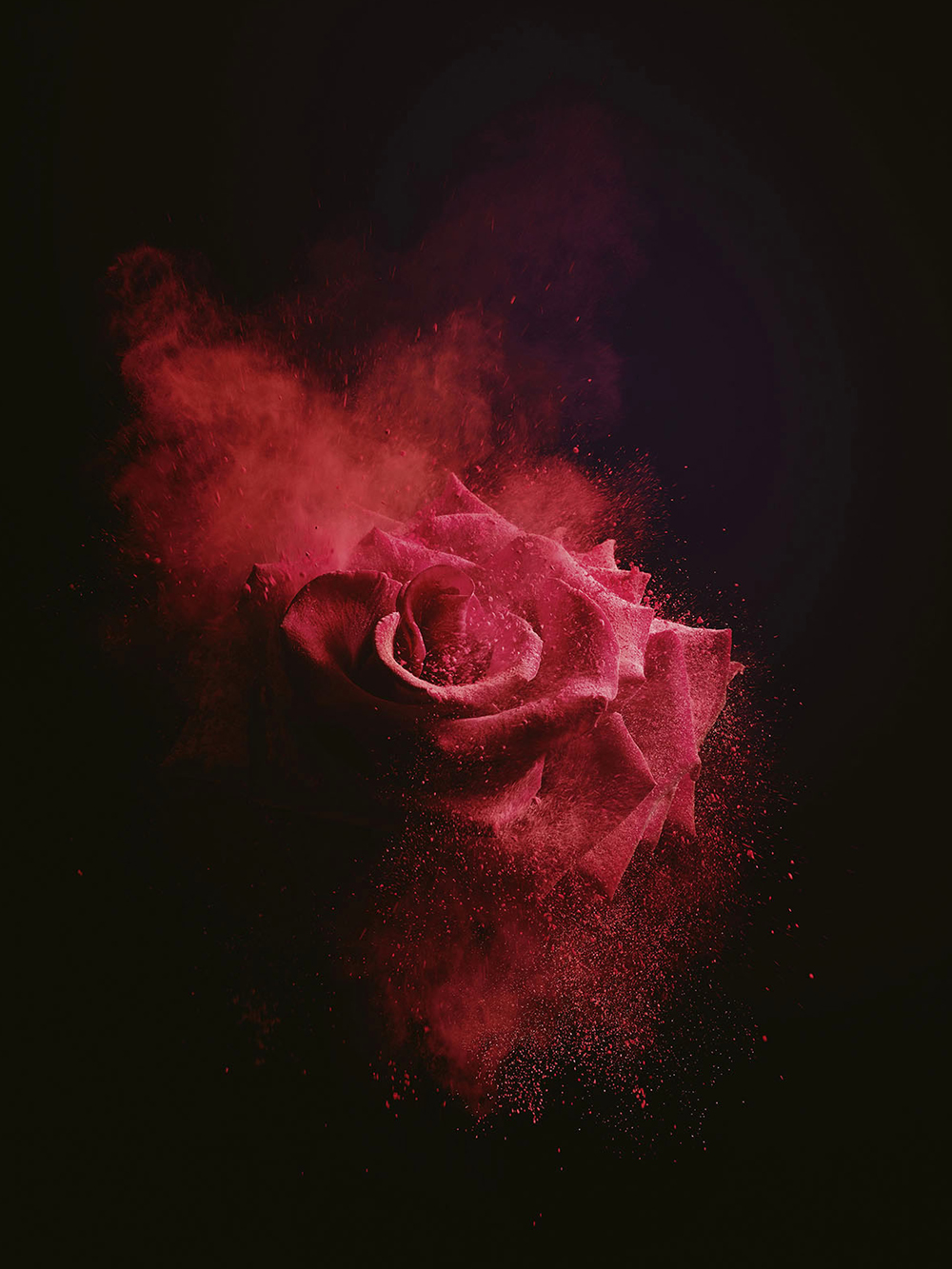 绝谷公子的个人主页（封面预览） - 主页封面设置 - 站酷设计师绝谷公子原创素材 - 站酷ZCOOL