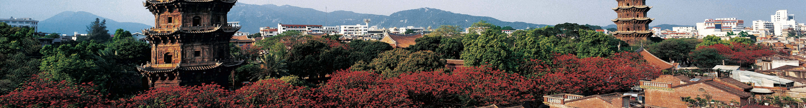 退化視覺的個人主頁（封面預(yù)覽） - 主頁封面設(shè)置 - 站酷設(shè)計師退化視覺原創(chuàng)素材 - 站酷ZCOOL