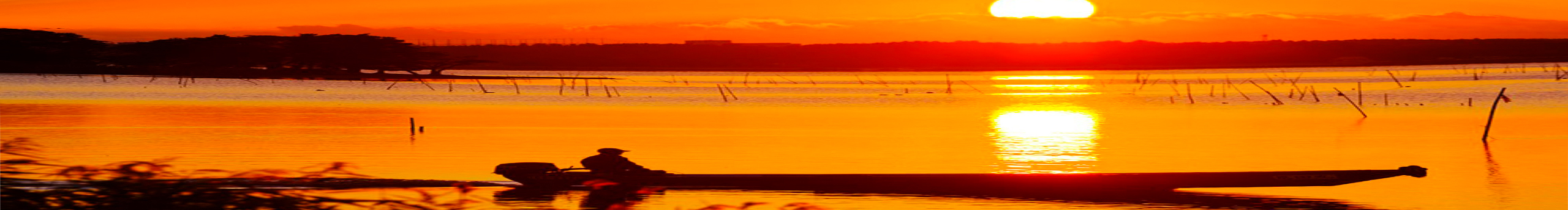 忆飞潇的个人主页（封面预览） - 主页封面设置 - 站酷设计师忆飞潇原创素材 - 站酷ZCOOL