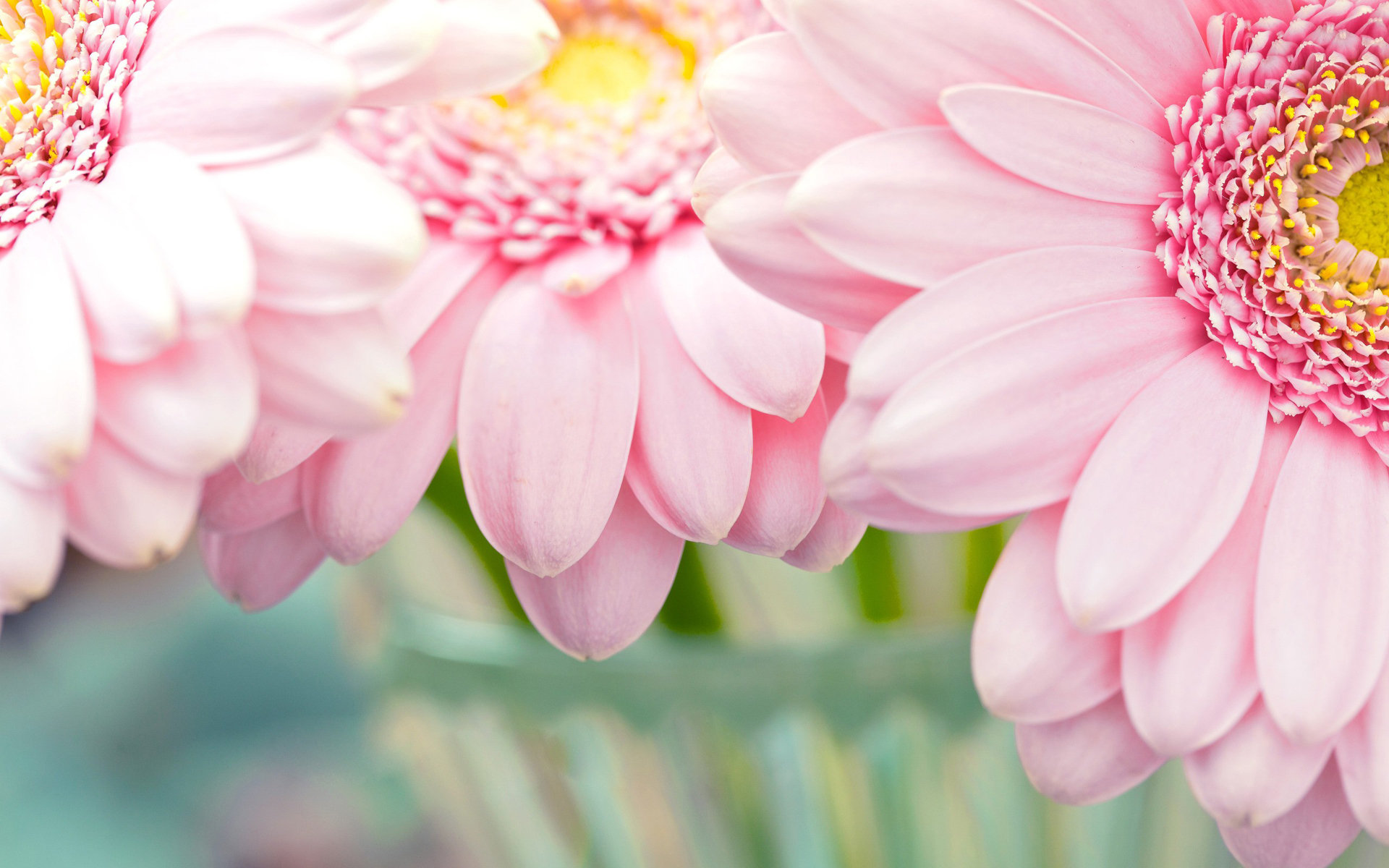 Queena_文文的个人主页（封面预览） - 主页封面设置 - 站酷设计师Queena_文文原创素材 - 站酷ZCOOL