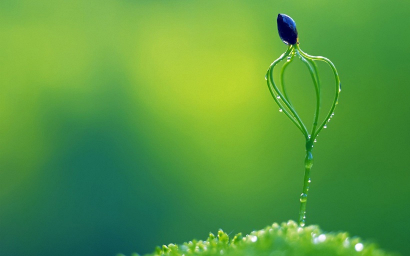 晨曦小江的個(gè)人主頁(yè)（封面預(yù)覽） - 主頁(yè)封面設(shè)置 - 站酷設(shè)計(jì)師晨曦小江原創(chuàng)素材 - 站酷ZCOOL