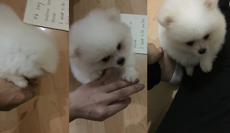 lucyworship的个人主页（封面预览） - 主页封面设置 - 站酷设计师lucyworship原创素材 - 站酷ZCOOL