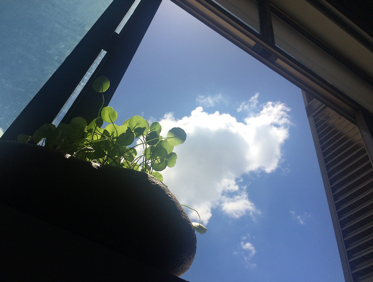 聚沙品牌的個(gè)人主頁（封面預(yù)覽） - 主頁封面設(shè)置 - 站酷設(shè)計(jì)師聚沙品牌原創(chuàng)素材 - 站酷ZCOOL