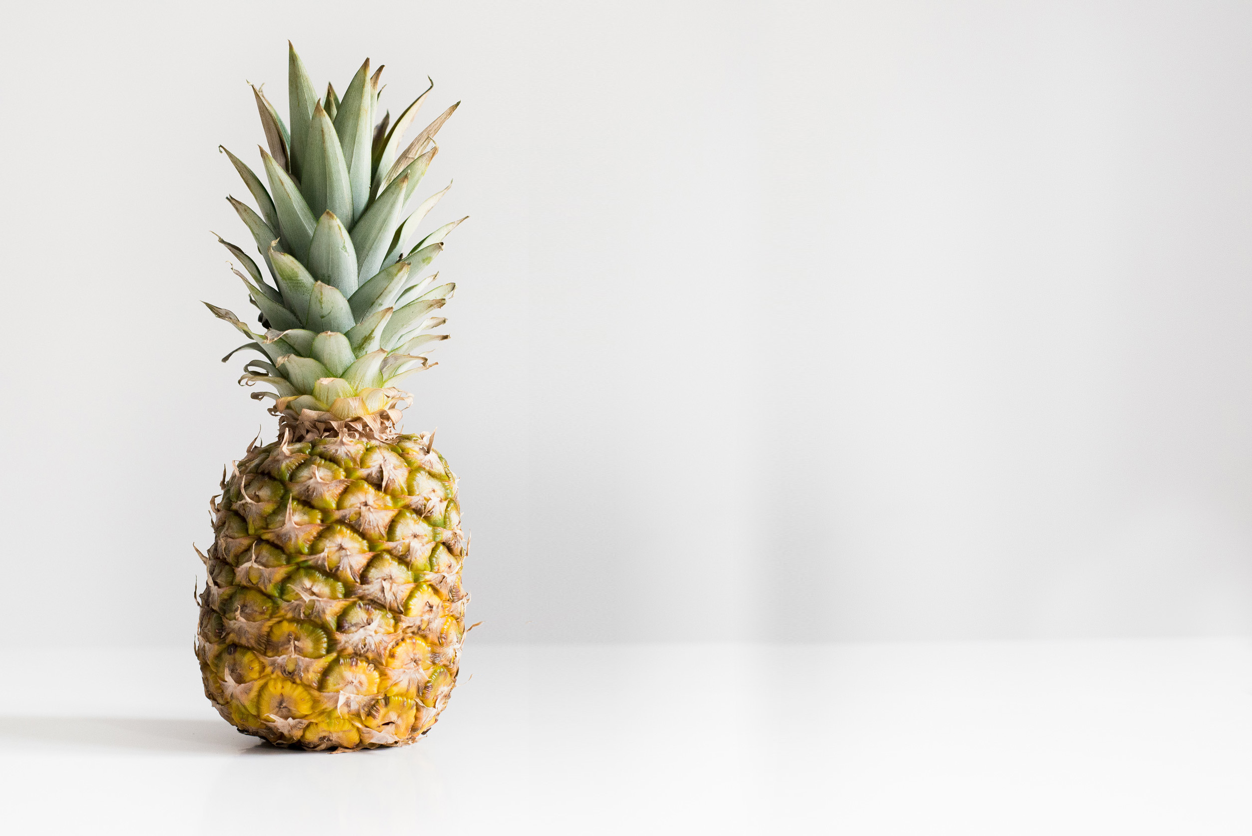 狗酥酥的个人主页（封面预览） - 主页封面设置 - 站酷设计师狗酥酥原创素材 - 站酷ZCOOL