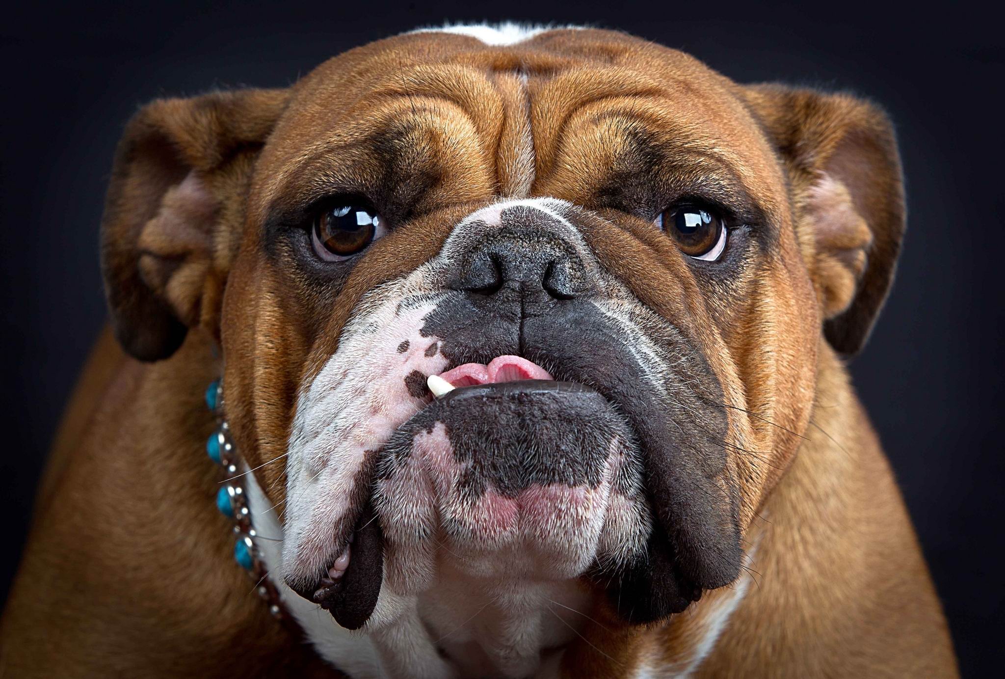 IMind的個(gè)人主頁（封面預(yù)覽） - 主頁封面設(shè)置 - 站酷設(shè)計(jì)師IMind原創(chuàng)素材 - 站酷ZCOOL