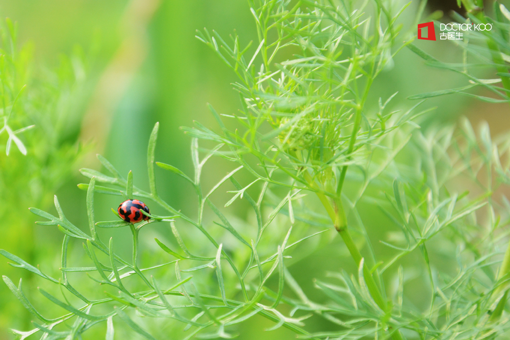 SHM十的個人主頁（封面預覽） - 主頁封面設置 - 站酷設計師SHM十原創(chuàng)素材 - 站酷ZCOOL