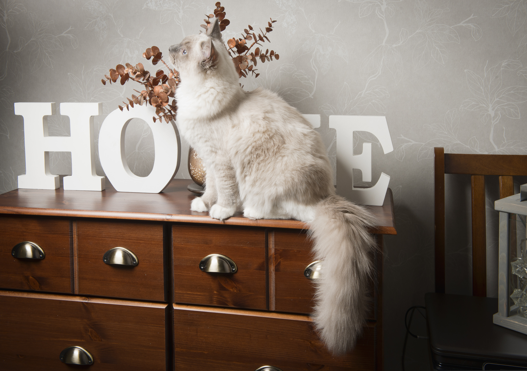 小苏SU的个人主页（封面预览） - 主页封面设置 - 站酷设计师小苏SU原创素材 - 站酷ZCOOL