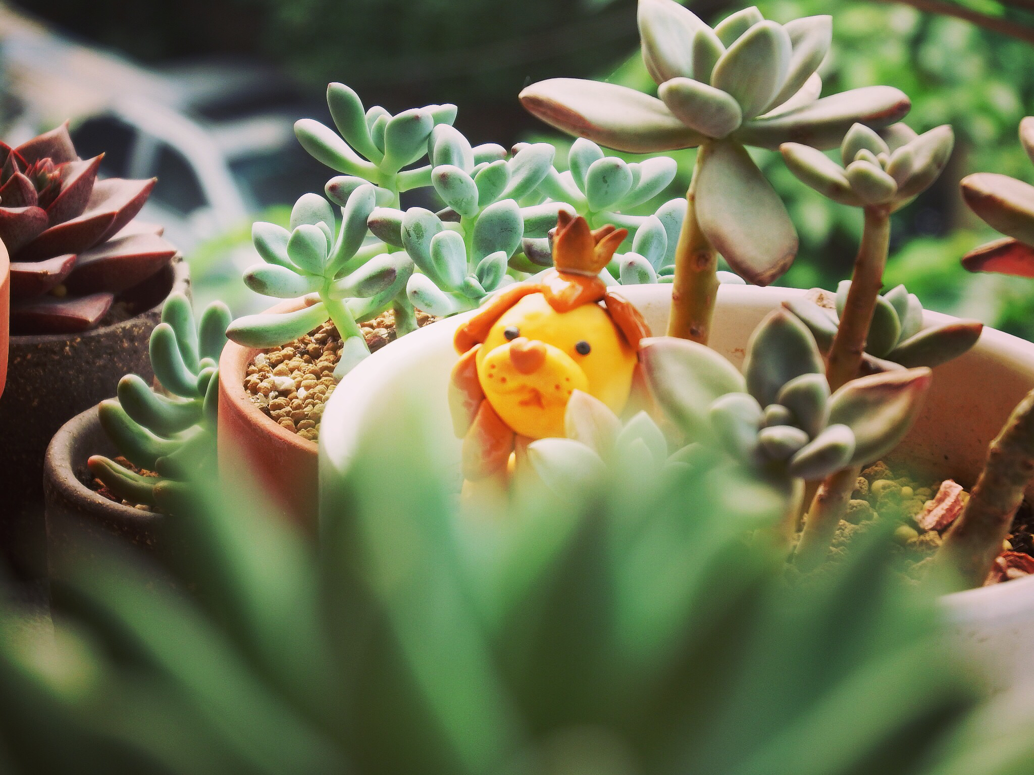 青春活力無(wú)限的個(gè)人主頁(yè)（封面預(yù)覽） - 主頁(yè)封面設(shè)置 - 站酷設(shè)計(jì)師青春活力無(wú)限原創(chuàng)素材 - 站酷ZCOOL