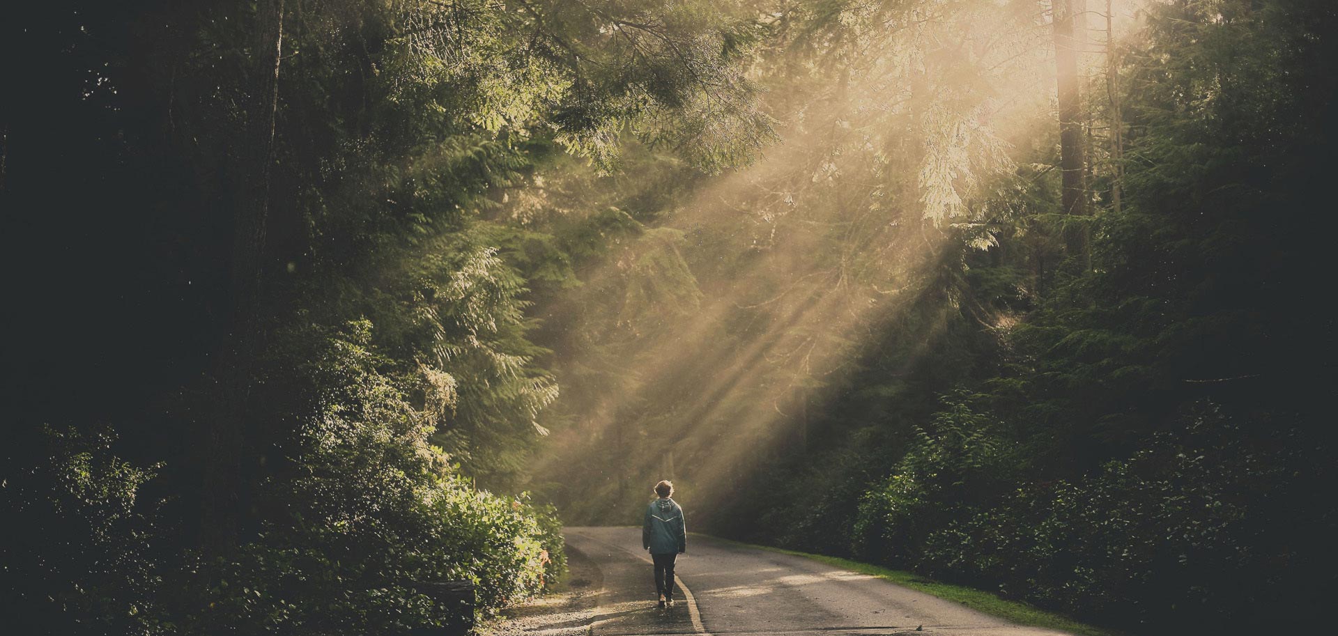 蓝宇宇的个人主页（封面预览） - 主页封面设置 - 站酷设计师蓝宇宇原创素材 - 站酷ZCOOL