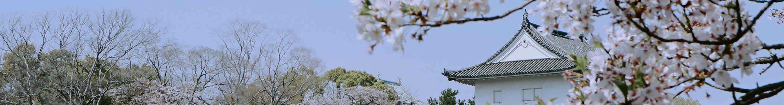 铁甲万能小飞侠的个人主页（封面预览） - 主页封面设置 - 站酷设计师铁甲万能小飞侠原创素材 - 站酷ZCOOL