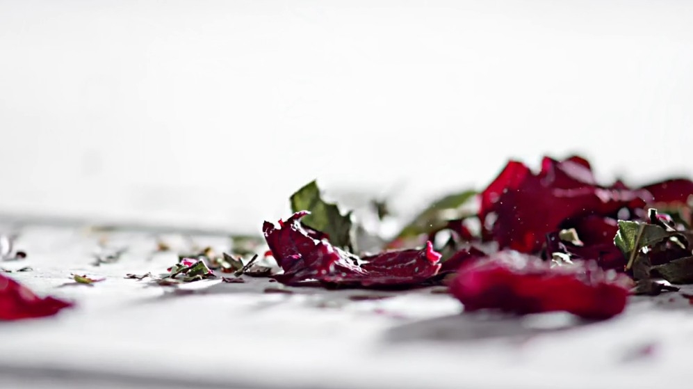 lo浅夏的个人主页（封面预览） - 主页封面设置 - 站酷设计师lo浅夏原创素材 - 站酷ZCOOL