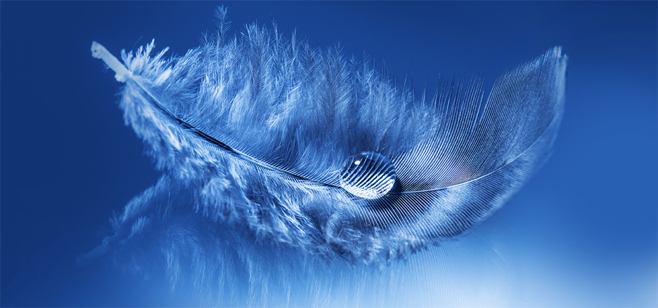 随xia缘的个人主页（封面预览） - 主页封面设置 - 站酷设计师随xia缘原创素材 - 站酷ZCOOL