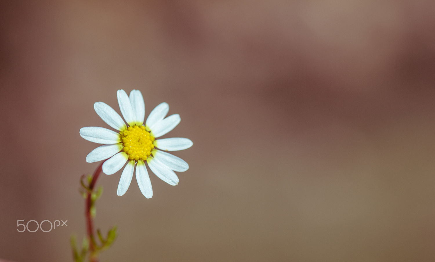 adgainai的个人主页（封面预览） - 主页封面设置 - 站酷设计师adgainai原创素材 - 站酷ZCOOL