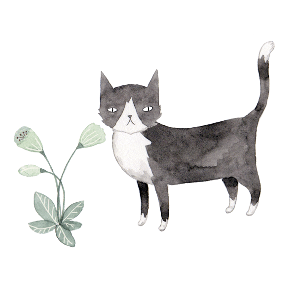 拾張的個人主頁（封面預覽） - 主頁封面設置 - 站酷設計師拾張原創(chuàng)素材 - 站酷ZCOOL