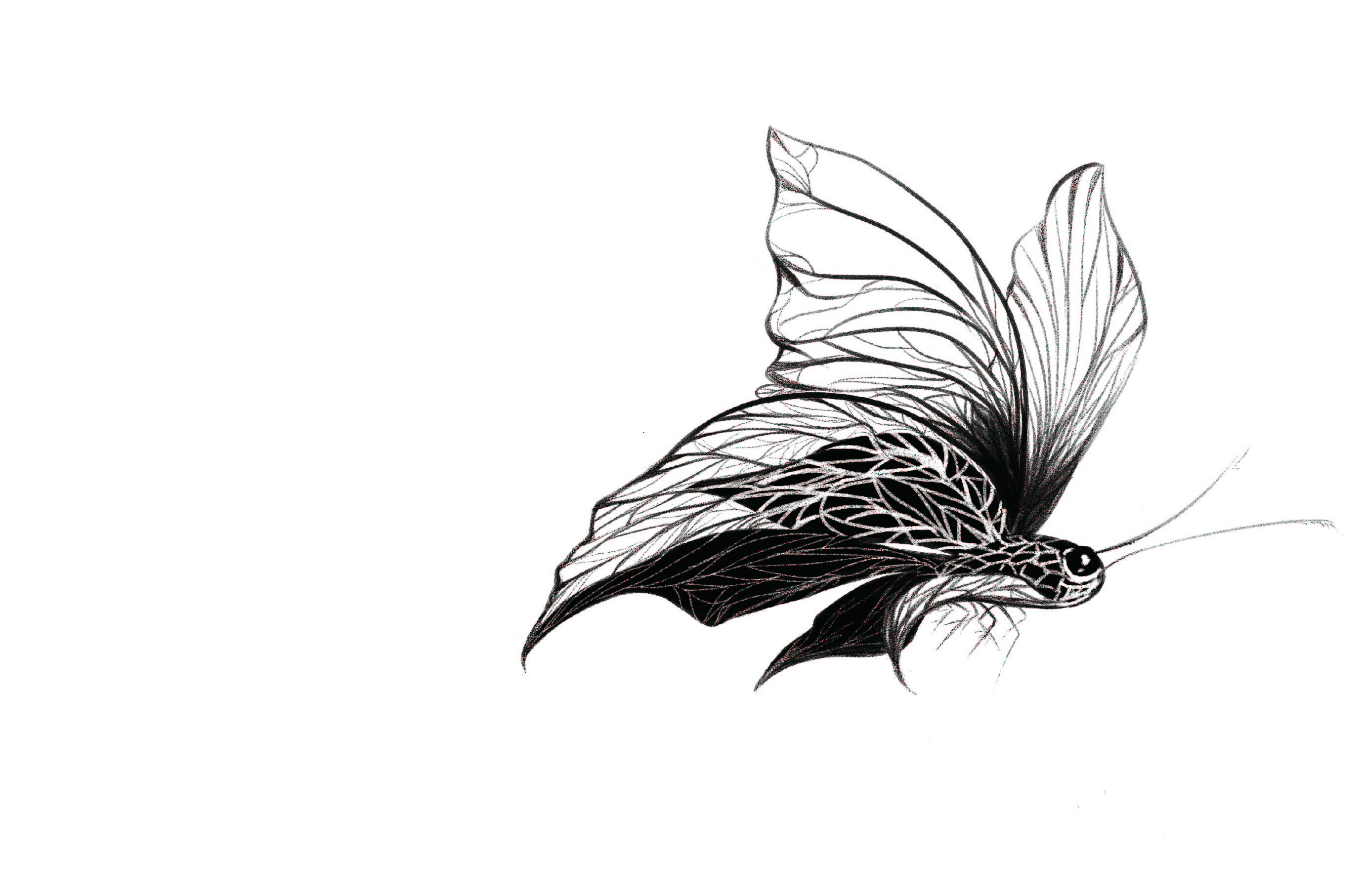 啊暝aming的个人主页（封面预览） - 主页封面设置 - 站酷设计师啊暝aming原创素材 - 站酷ZCOOL