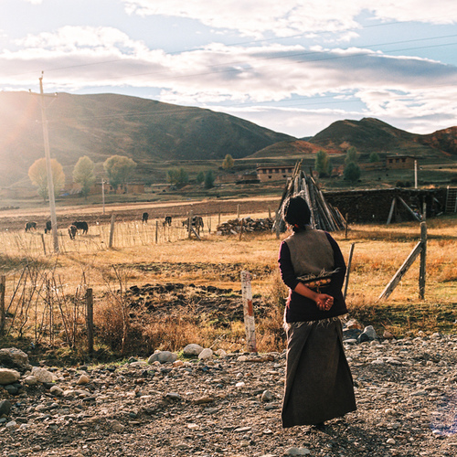 想飞的自由落体的个人主页（封面预览） - 主页封面设置 - 站酷设计师想飞的自由落体原创素材 - 站酷ZCOOL