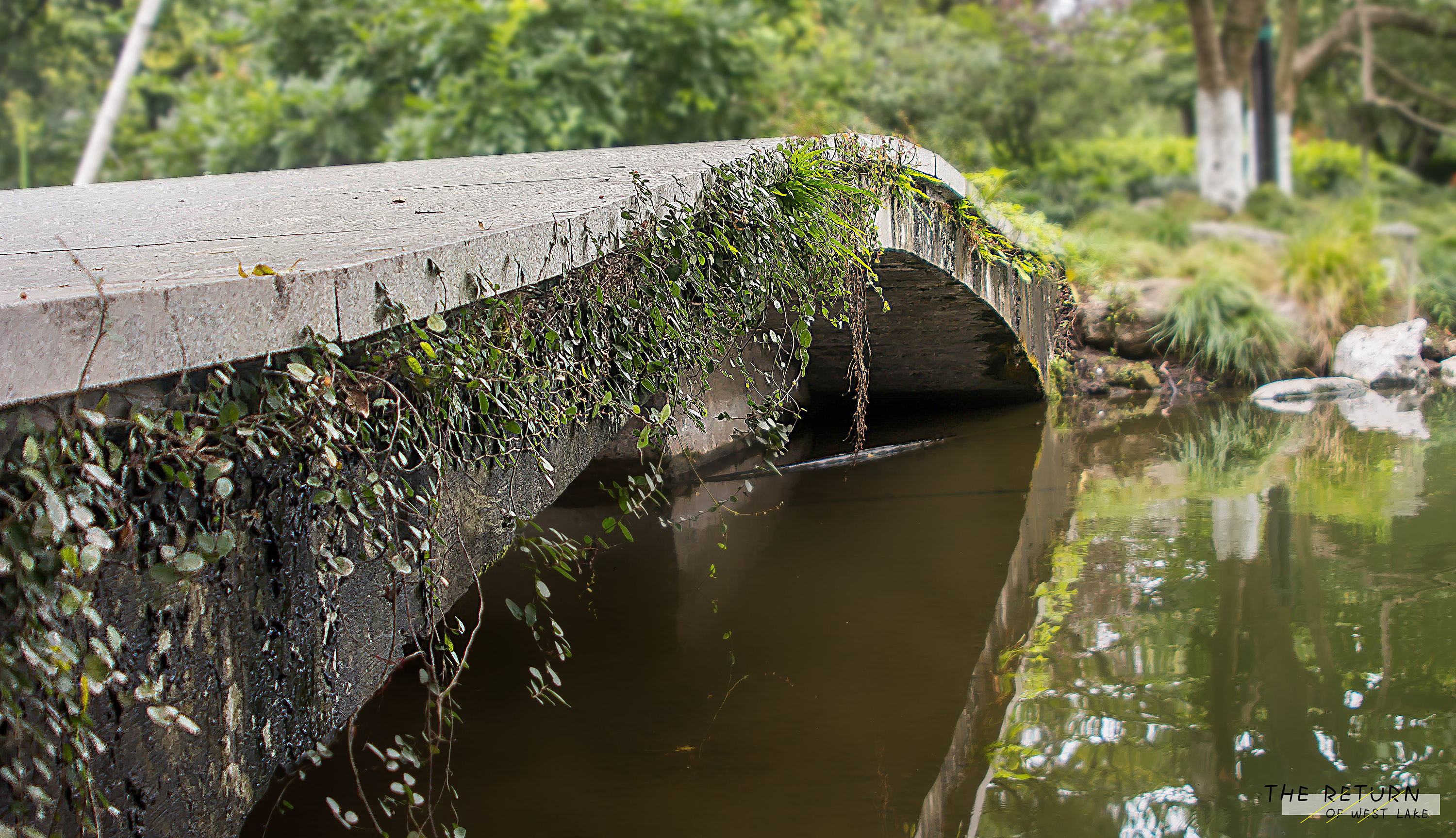 予我設(shè)計(jì)師的個(gè)人主頁(yè)（封面預(yù)覽） - 主頁(yè)封面設(shè)置 - 站酷設(shè)計(jì)師予我設(shè)計(jì)師原創(chuàng)素材 - 站酷ZCOOL