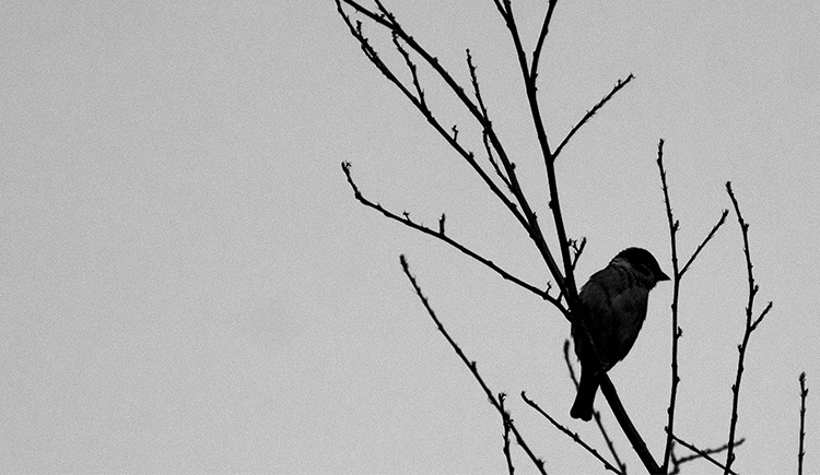 Soulami的個(gè)人主頁（封面預(yù)覽） - 主頁封面設(shè)置 - 站酷設(shè)計(jì)師Soulami原創(chuàng)素材 - 站酷ZCOOL