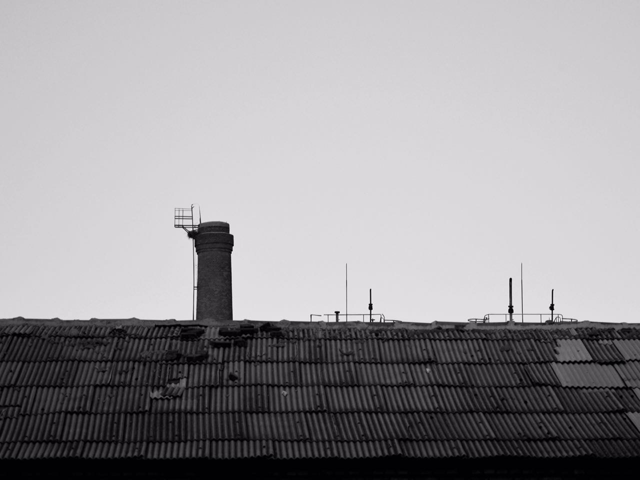 生如胡楊的個(gè)人主頁（封面預(yù)覽） - 主頁封面設(shè)置 - 站酷設(shè)計(jì)師生如胡楊原創(chuàng)素材 - 站酷ZCOOL