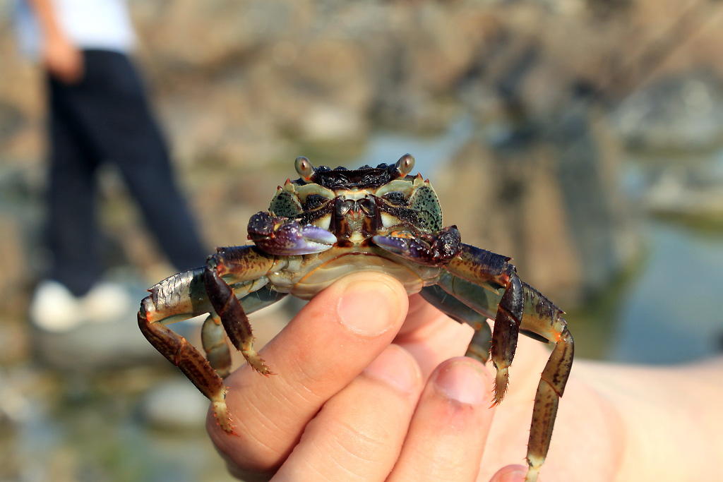 字里行间的个人主页（封面预览） - 主页封面设置 - 站酷设计师字里行间原创素材 - 站酷ZCOOL