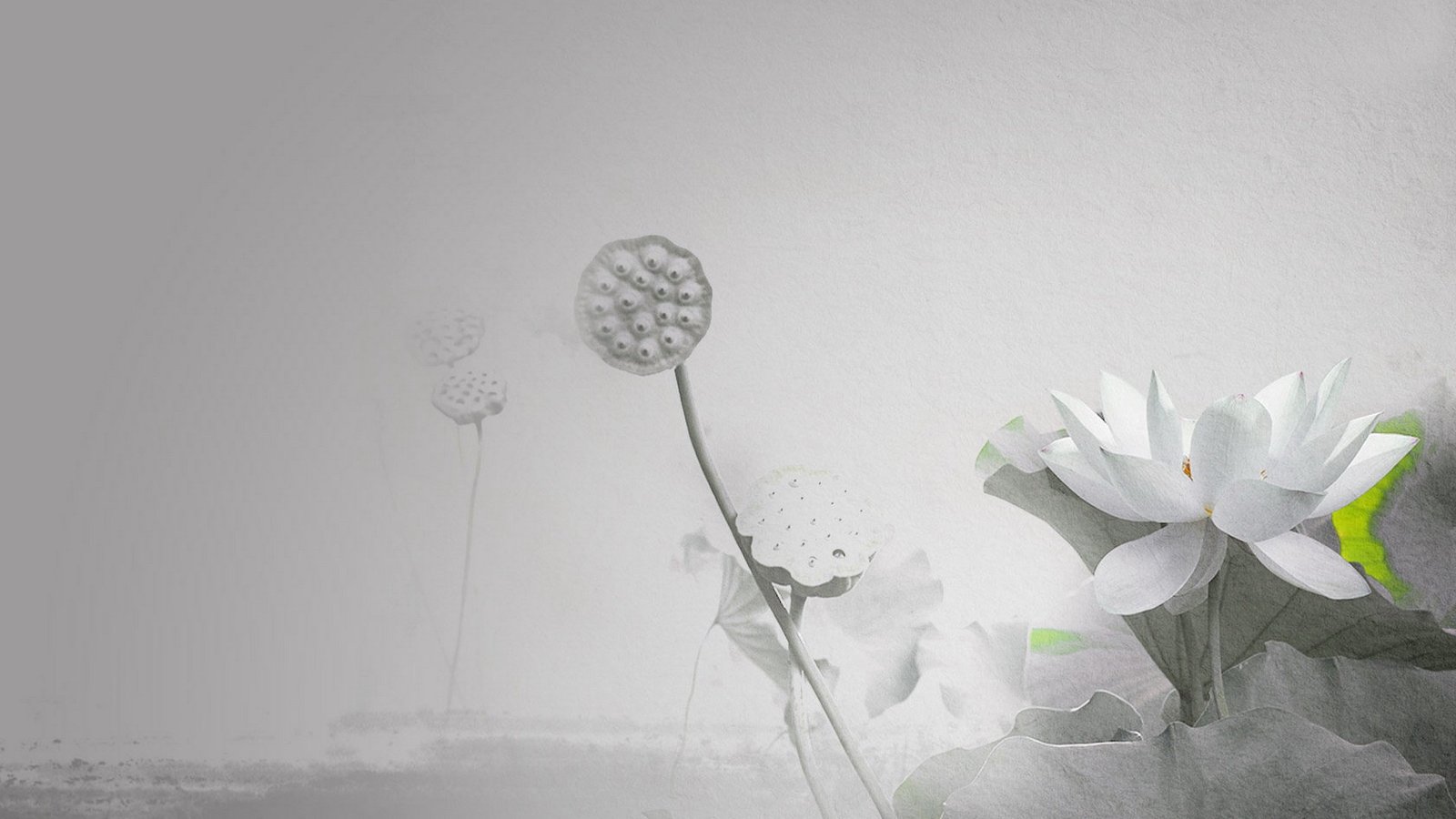 设计师怀哥哥的个人主页（封面预览） - 主页封面设置 - 站酷设计师设计师怀哥哥原创素材 - 站酷ZCOOL