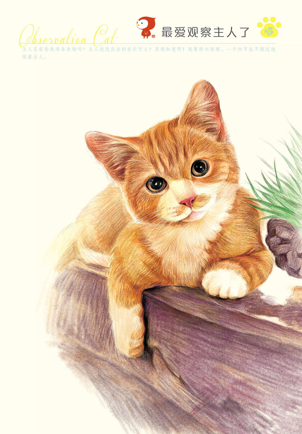 kissmiya的个人主页（封面预览） - 主页封面设置 - 站酷设计师kissmiya原创素材 - 站酷ZCOOL