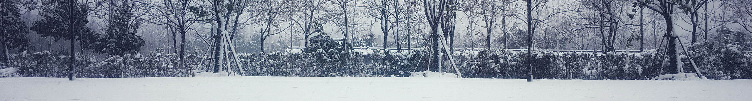 超级英雄鸟鸟侠的个人主页（封面预览） - 主页封面设置 - 站酷设计师超级英雄鸟鸟侠原创素材 - 站酷ZCOOL