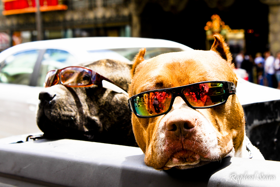 cool40000的個人主頁（封面預(yù)覽） - 主頁封面設(shè)置 - 站酷設(shè)計師cool40000原創(chuàng)素材 - 站酷ZCOOL