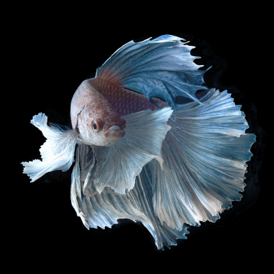 淘石人的个人主页（封面预览） - 主页封面设置 - 站酷设计师淘石人原创素材 - 站酷ZCOOL