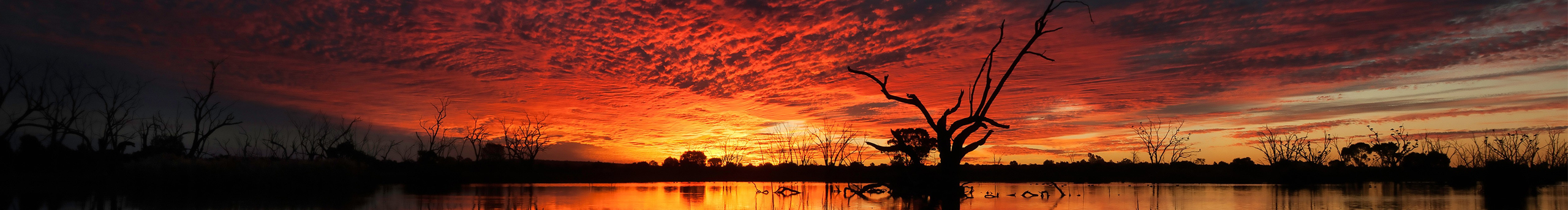 那么好洛的个人主页（封面预览） - 主页封面设置 - 站酷设计师那么好洛原创素材 - 站酷ZCOOL