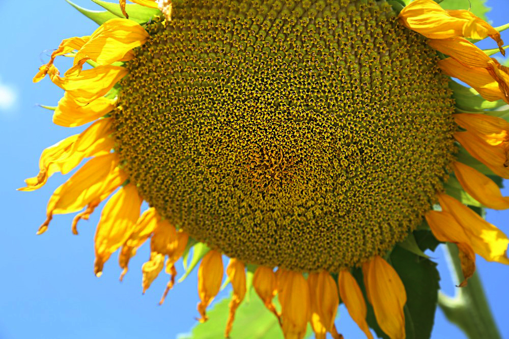 行走的音符的个人主页（封面预览） - 主页封面设置 - 站酷设计师行走的音符原创素材 - 站酷ZCOOL