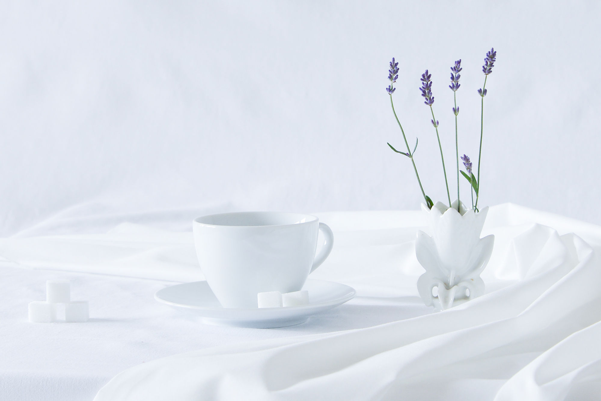 曲径通幽_he的个人主页（封面预览） - 主页封面设置 - 站酷设计师曲径通幽_he原创素材 - 站酷ZCOOL