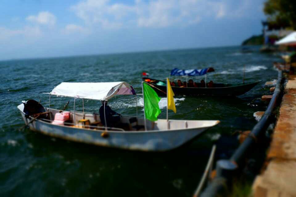 wenny言的个人主页（封面预览） - 主页封面设置 - 站酷设计师wenny言原创素材 - 站酷ZCOOL