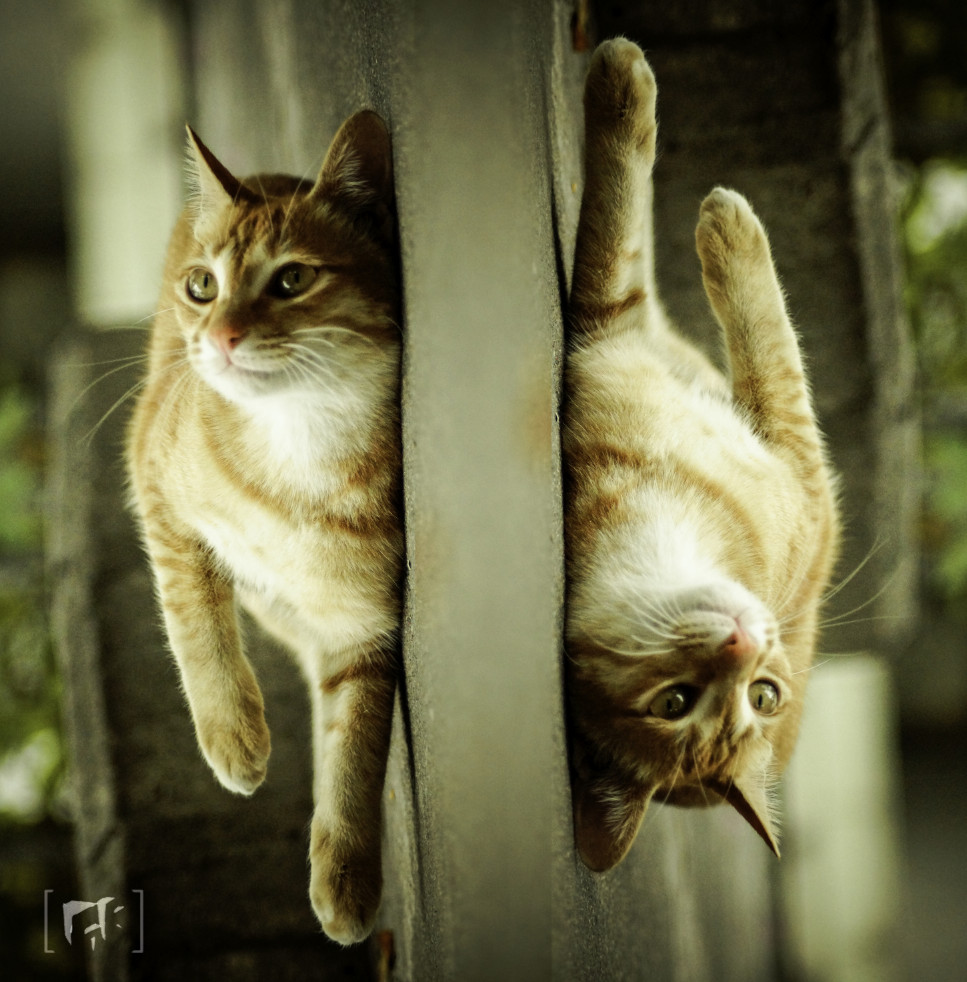 ljkund的個人主頁（封面預覽） - 主頁封面設置 - 站酷設計師ljkund原創(chuàng)素材 - 站酷ZCOOL