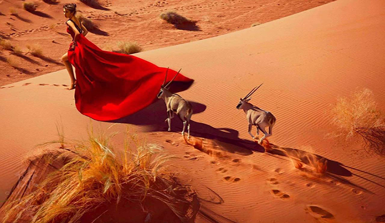 廉向轩Layne的个人主页（封面预览） - 主页封面设置 - 站酷设计师廉向轩Layne原创素材 - 站酷ZCOOL