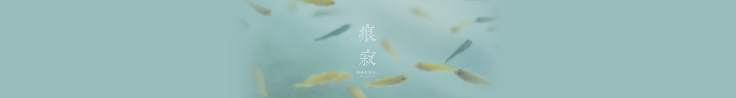 kenzieTsai的个人主页（封面预览） - 主页封面设置 - 站酷设计师kenzieTsai原创素材 - 站酷ZCOOL