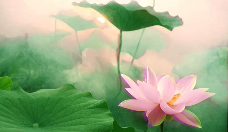 窦窦窦逗你玩的个人主页（封面预览） - 主页封面设置 - 站酷设计师窦窦窦逗你玩原创素材 - 站酷ZCOOL