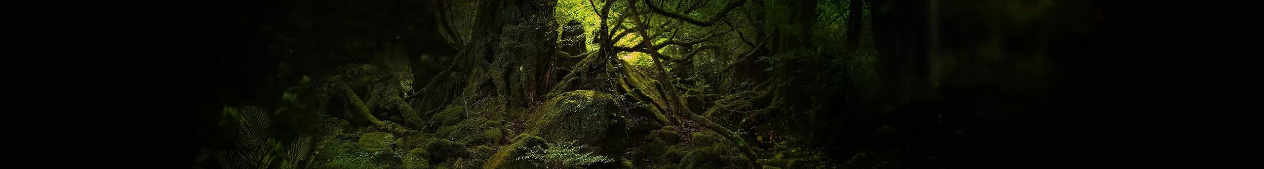 你杰哥哥的個(gè)人主頁(yè)（封面預(yù)覽） - 主頁(yè)封面設(shè)置 - 站酷設(shè)計(jì)師你杰哥哥原創(chuàng)素材 - 站酷ZCOOL