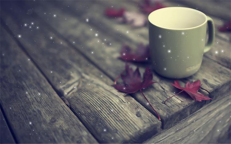 小薩摩的个人主页（封面预览） - 主页封面设置 - 站酷设计师小薩摩原创素材 - 站酷ZCOOL