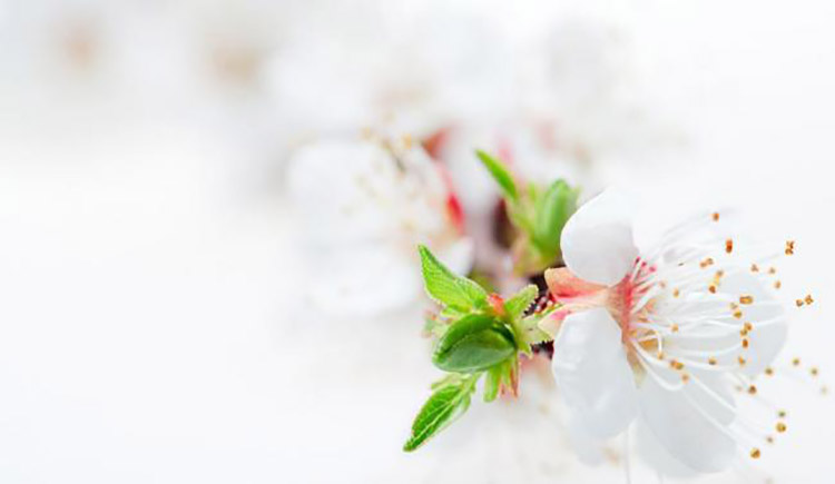 我为依狂的个人主页（封面预览） - 主页封面设置 - 站酷设计师我为依狂原创素材 - 站酷ZCOOL