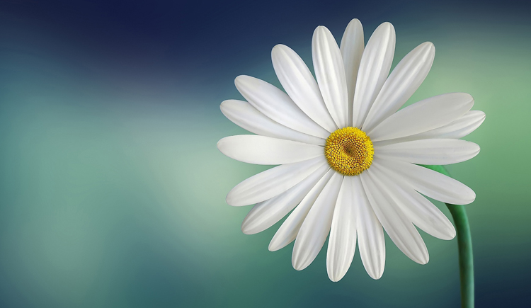 8023zixm的个人主页（封面预览） - 主页封面设置 - 站酷设计师8023zixm原创素材 - 站酷ZCOOL