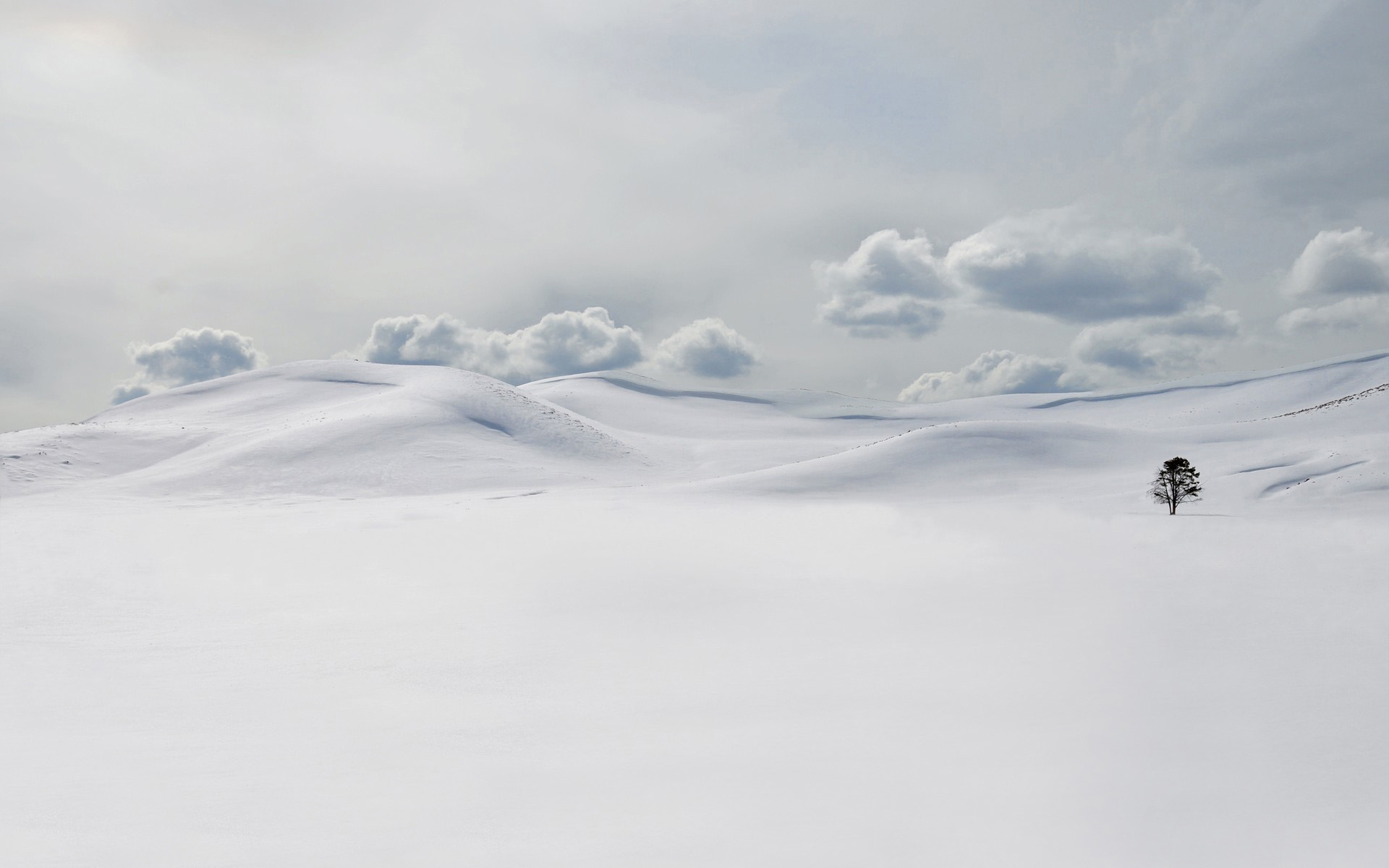 没有昵称怎么办的个人主页（封面预览） - 主页封面设置 - 站酷设计师没有昵称怎么办原创素材 - 站酷ZCOOL
