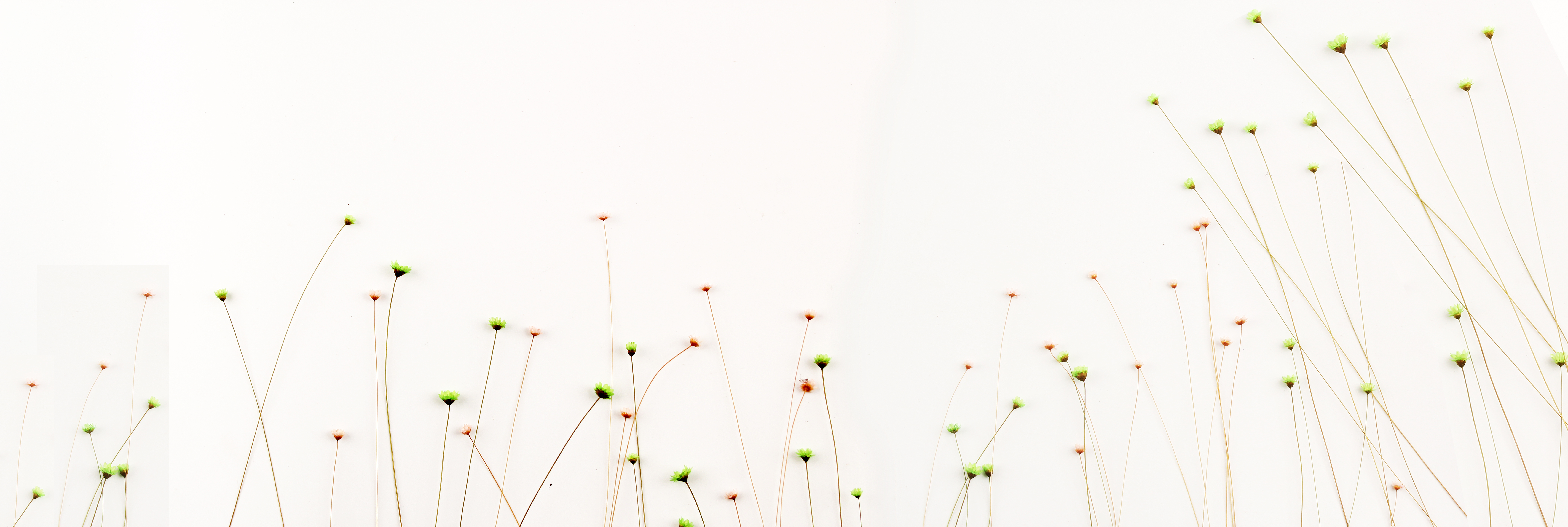 孤舟倦客的个人主页（封面预览） - 主页封面设置 - 站酷设计师孤舟倦客原创素材 - 站酷ZCOOL