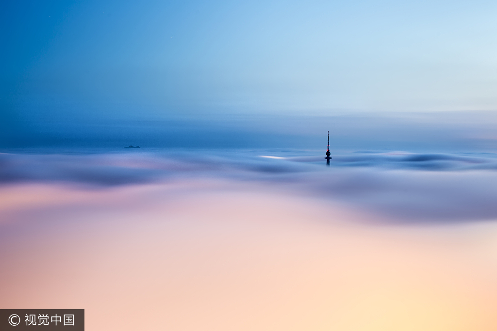 陈氏猎人的个人主页（封面预览） - 主页封面设置 - 站酷设计师陈氏猎人原创素材 - 站酷ZCOOL