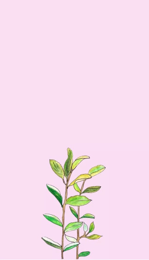 南若淑的個(gè)人主頁(yè)（封面預(yù)覽） - 主頁(yè)封面設(shè)置 - 站酷設(shè)計(jì)師南若淑原創(chuàng)素材 - 站酷ZCOOL