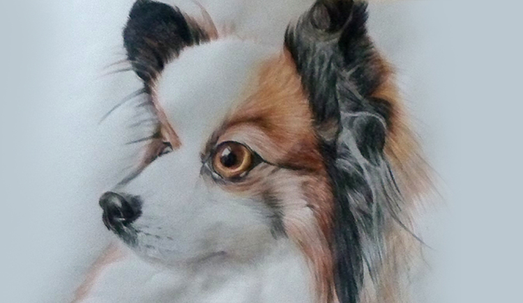 鬼脸肉嘟嘟的个人主页（封面预览） - 主页封面设置 - 站酷设计师鬼脸肉嘟嘟原创素材 - 站酷ZCOOL