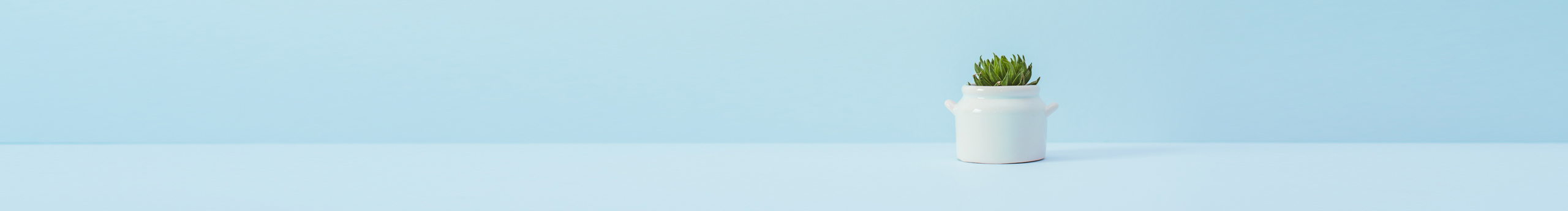 Sumi庞的个人主页（封面预览） - 主页封面设置 - 站酷设计师Sumi庞原创素材 - 站酷ZCOOL