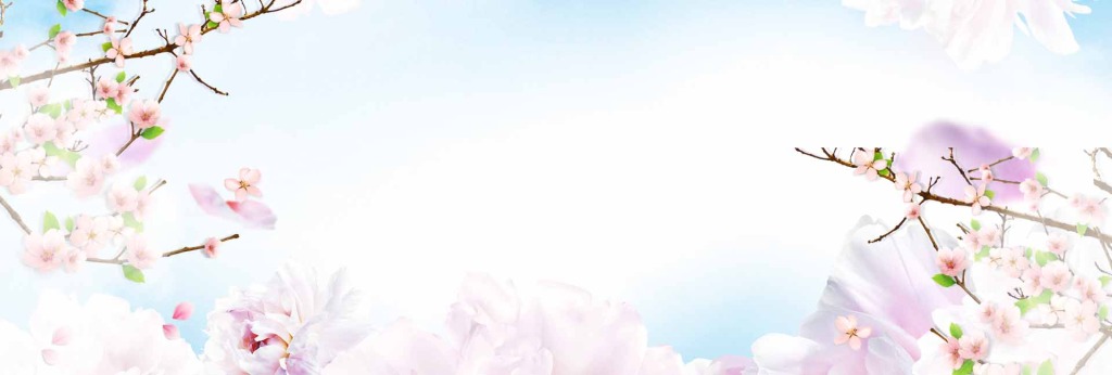 馨域文化傳媒的個人主頁（封面預覽） - 主頁封面設置 - 站酷設計師馨域文化傳媒原創(chuàng)素材 - 站酷ZCOOL