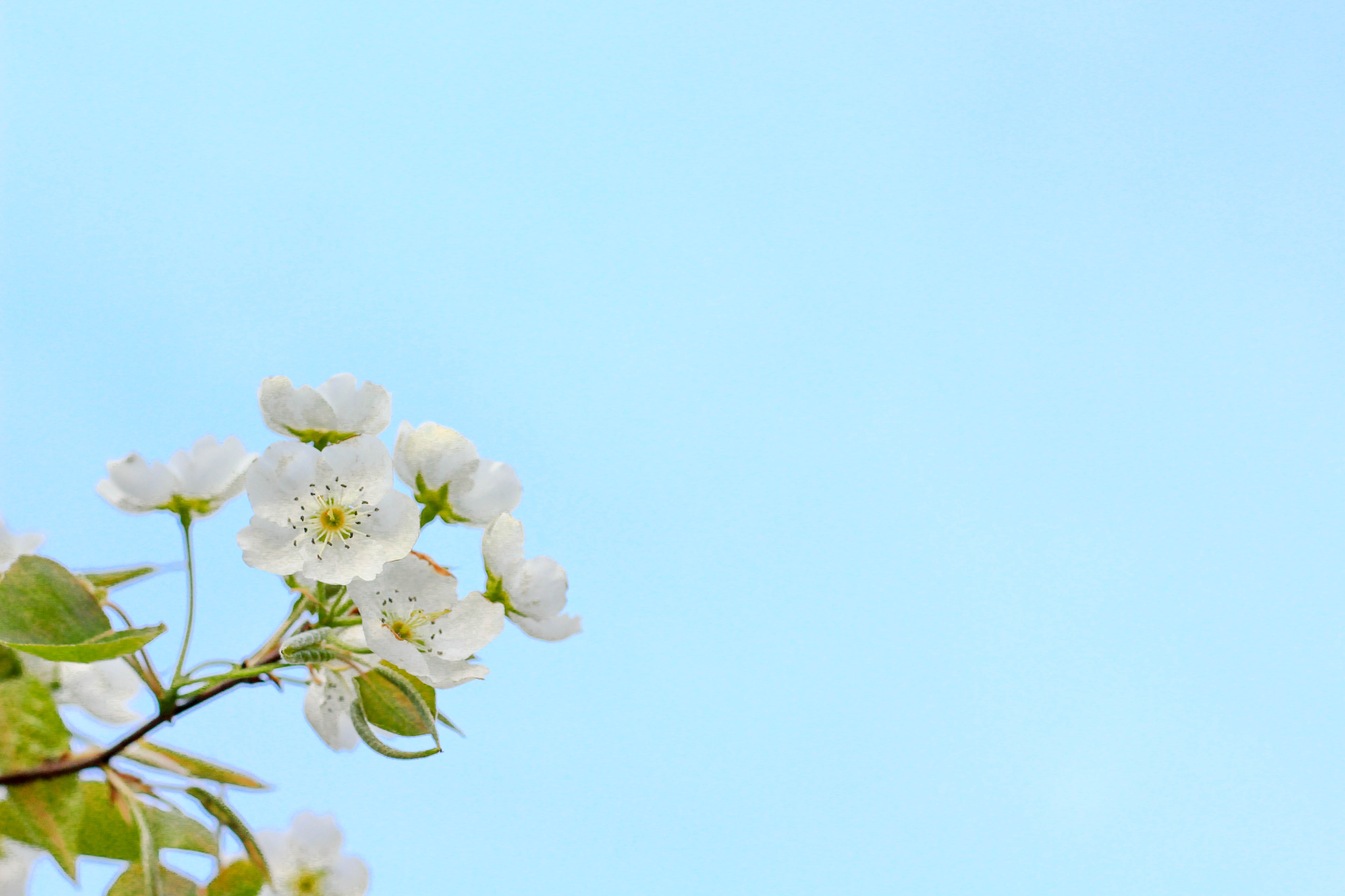 蝸牛似的的個人主頁（封面預覽） - 主頁封面設置 - 站酷設計師蝸牛似的原創(chuàng)素材 - 站酷ZCOOL